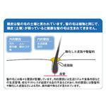 頭皮洗浄ブラシ モミダッシュ PRO