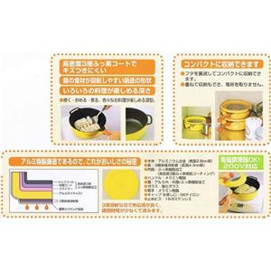 平野レミのプレミアムレミパン