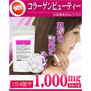 栄養補助食品 コラーゲン ビューティー 36g 【3袋セット】