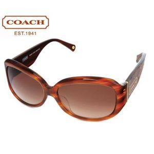 COACH(コーチ) サングラス S729A-AMBER HORN・ブラウングラデーション×ライトマーブルブラウン