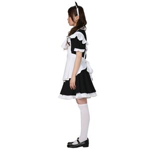 yRXvz MD6122 }ICh  M 4571142444824摜Q