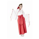 トキメキ神社　巫女ちゃんグラフィティ