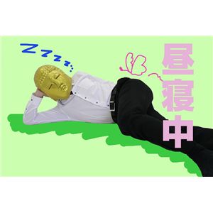 yRXvz  }XN 4984385023075摜S