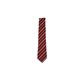 yRXvz Teens EverieB[YGo[j lN^C GW 2Zbg 4560320822769摜ŏP
