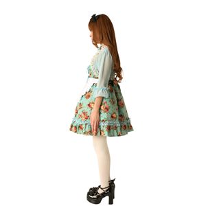 yRXvz Alice's [YK[fAX 4560320825739摜R