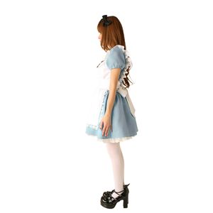 yRXvz Alice's Xs[hAX Gv̌^RXv 4560320825746摜R