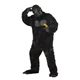ynEBRXvz GorillaiSj 019519008858摜ŏP