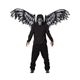 ynEBRXvz Fallen Angel Mask and WingsiVg̃}XNƉώEBOj 019519047871摜ŏP