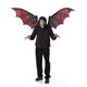 ynEBRXvz Vampire Mask and WingsizS̃}XNƉώEBOj 019519047888摜ŏP