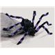 ynEBz Purple^Black Spider-Mi/̒w偁@Mj 0762543051085摜ŏP