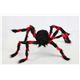 ynEBz Red^Black Spider-Si/̒w偁@Sj 0762543051108摜ŏP