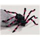 【ハロウィン】 Red／Black Spider-M（赤/黒の蜘蛛　M） 0762543051115画像最小１