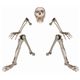 ynEBz Lifesize Ground Breaking SkeletoniKCRcj 0762543800126摜ŏP