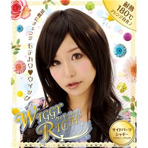 yϔMEBbOzWiggy Rich WIG TChp[cVM[iuEj[ubNj 4560320846048摜S