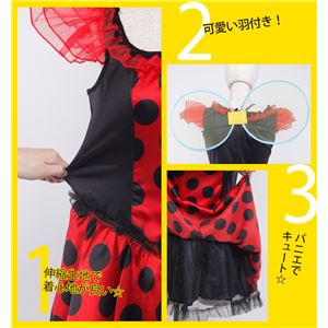 egL[gK[摜S