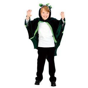 【ハロウィンコスプレ】ドラゴンマント