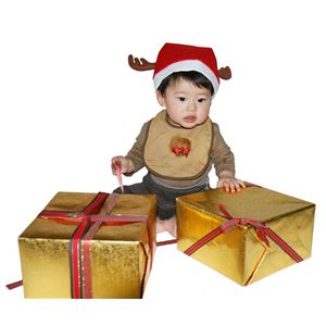 【2010年クリスマス向け】スタイ トナカイさん 子供