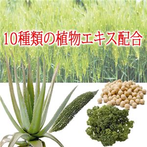 nearmilA[j `WF i`one  摜S