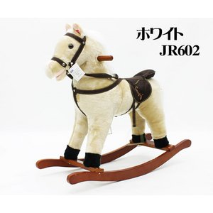 qp bLO`FA[ iz[Xj zCg JR602摜Q