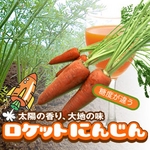 宮崎県産ロケットにんじん(3キログラム入り)