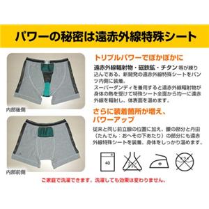 スーパーダンディボクサータイプ3枚組(メッシュ) グレー M