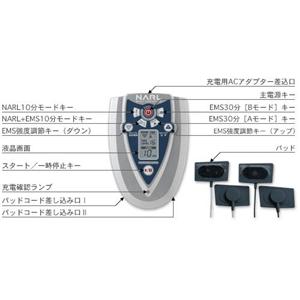 ナールボディデザイン