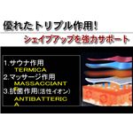ダイナセル M