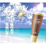 シャイニーカラーヘアクリーム