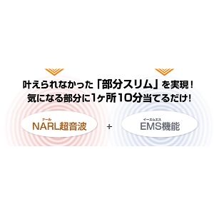 ナールボディデザイン NARL EMS イエローキャブモデル
