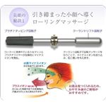 ピアモント　プラチナグラマー