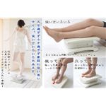 家庭用電気マッサージ器 リフレッサー