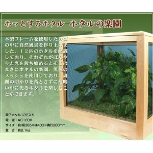 ホッとするホタル ホタルの楽園