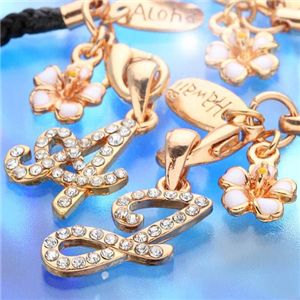 �ϥ磻���󥸥奨�꡼ PG�ѥ������˥���륹�ȥ�å� ST055��A