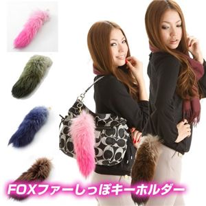 FOXt@[ۃL[z_[ uE摜R