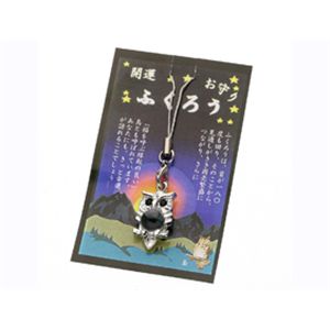 �K�^�ӂ��낤�X�g���b�v