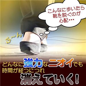 �h�N�^�[�����̃V���[���t���b�V���[�y2�{�g�z