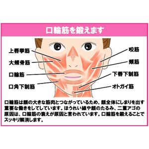 NEW tFCVtg AgX(h) zCg摜S