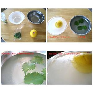 フレッシュ　ママ