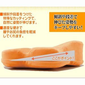 姿勢サポート 「フラワークッション」