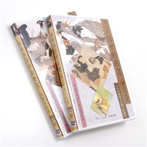 Y敂Gp DVD2g摜Q