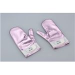 ���B�[�i�X�O���[�u �s���N