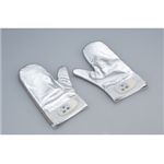 ���B�[�i�X�O���[�u �V���o�[