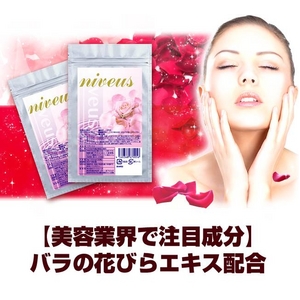 Ｎｉｖｅｕｓ（ニヴェウス）3個セット