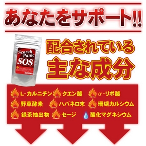 �X�R�[�`�p�j�b�NSOS 3�Z�b�g