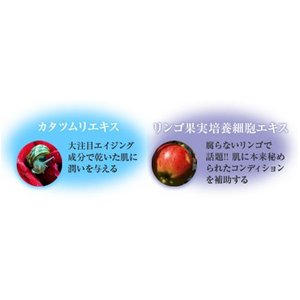 |HEN[摜R