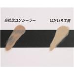 はだいろ工房 コンシーラーSP