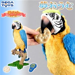 セガトイズ　夢おうむ