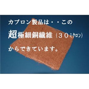 カプロンソックス 女性用24cm(フリー・黒)