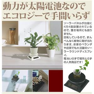 �\�[���[���E���h�f�B�X�v���C SRD-A2 BK �u���b�N