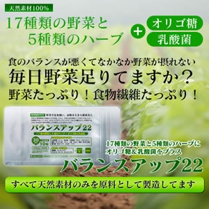 バランスアップ22